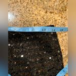 CoMMENSE Sequin Photo 5