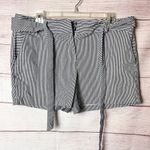 Loft  Women's Striped Paper bag Tie Belt shorts Sz 10 Photo 2