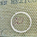 BKE | women’s cropped denim jeans. Size: 30. Photo 11