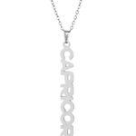 Stainless Steel Capricorn Zodiac Necklace Silver Photo 0