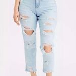 American Eagle A&E Distressed Curvy Mom jeans Photo 0