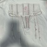 Victoria's Secret Victoria’s Secret Sheer Shine Waist-Cinching Garter Belt
And Thong Set Photo 6