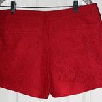 Kenar  lace lined shorts Photo 2