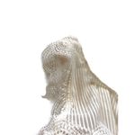 Victoria's Secret Victoria’s Secret Cropped Lace Bustier Cream Size 32DD Coquette Romantic Neutral Photo 5