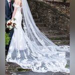 Tanica By Sottero and Midgley Wedding Dress White Size 6 Photo 4