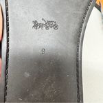 Coach  Blue Leather Tea Rose Multi Flip Flop Womens 9 Sandals Flat Beachy Casual Photo 6