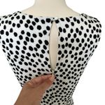 Loft Petites black polka dot dress size PL Midi Fit and Flare Classic Mod Chic Photo 5
