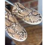 JSlides J/Slides Women’s Slip on Python Sneakers 6 Photo 4