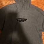 Abercrombie & Fitch Hoodie Photo 3