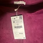 ZARA NWT Velvet High-Waisted Purple Shorts Sz M Photo 3