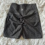 Muscle Nation Shorts Photo 1