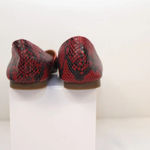 Lucky Brand  Flats Photo 4