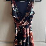 Dry Goods Skater dress Photo 3