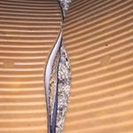 Brand New Blue & Rainbow Slip On Sneakers Size 8 Photo 6