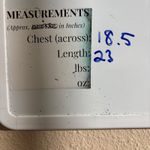 Fair Lady Green Sweater Top Fairy Core Boho Semi Sheer Leaf Embroidered Artsy M Size 6 Photo 8