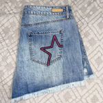 True Craft Jean Shorts Photo 2