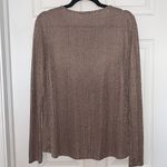 ZARA sheer long sleeved top Photo 1