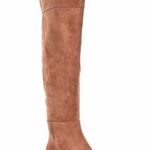 Antonio Melani Rilee Brown Suede Over The Knee Tall Dress Boots Photo 0