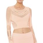 Alo Yoga Pink Cropped Workout Top Photo 0