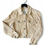 Hollister  Beige Knit‎ Sweater Photo 0