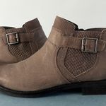 Abeo Yana Gray Leather Snakeskin Buckle Ankle Boots Size 6 Photo 2