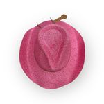 Anthropologie new  [by C.C.] 𒀭 Sparkle Straw Cowboy Hat 𒀭 Medium Pink 𒀭UPF 50+ Photo 9