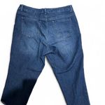 Faded Glory  Embroidered Floral Denim Jeans Size 16W Photo 5