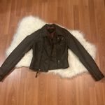 Jack by BB Dakota Jack BB Dakota brown leather moto jacket size S Photo 6