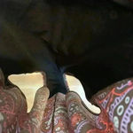 Liz Claiborne Lightly Padded Paisley Pink Brown One Piece Photo 7