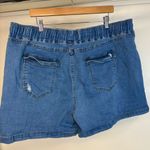 White Birch NWOT Callie Denim Shorts 3x Photo 3