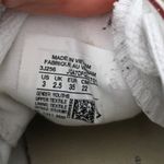 Converse  Chuck Taylor All Star Low Top sneaker in "Optical White" Photo 7