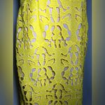 Banana Republic  Yellow Lace Dress | 2 NWT Photo 5