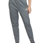 The North Face  Women's Horizon‎ Performance Jogger Pants Gray Athleisure Active Photo 0