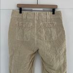 Sundance  Organia Linen Cotton Crochet Lace Roll Tab Pants Sand Size 12 Photo 8