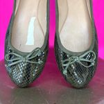 Banana Republic  Snake Embossed Green Leather Ballet Flat Sz 9 Photo 4