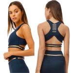 All Fenix Laser Line Spellout Logo Cutout Sports Bra Black Activewear Workout XS Photo 2