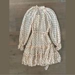 Zimmermann  ladybeetle swing sheer mini dress new nwt polka dot ruffle Photo 8