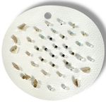 Free People Teeny Tiny Mega Stud Earring Set NWT
Gold Pearl Dainty Onyx Bohemian Photo 0