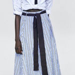 ZARA  Striped Blue and Black Women's Skirt Photo 0