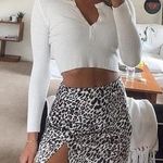 Princess Polly Leopard Mini Skirt Photo 0