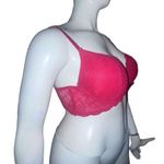 Daisy Fuentes  lace push up bra Photo 2