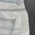Bullhead Denim Co Shorts Photo 6