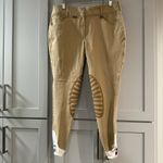 Equine Couture  Ladies Sophie Riding Breeches‎ Tan size 32 Photo 1