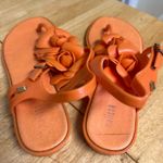 Melissa ‎ Orange Floral Jelly Sandals with Ankle Straps size 6 Photo 2