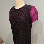 French Connection NWT  Autumn Prune/Black Horse Lace Short Sleeve Tunic Dress 4 Photo 2