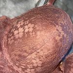 Daisy Fuentes NWT  Intimates Long Line Lace Bra 42D - Mauve/Rose/Rust Photo 4