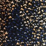 Nanette Lepore  size 10 Navy High Low Dress Photo 1