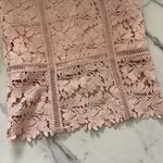 Bardot Botanica Lace Dress Womens Size 6 Pink Sleeveless Sheath Dress Wedding Photo 7