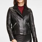 Mauritius Gila lamb leather faux sherpa lined motorcycle jacket size US 6 small Photo 14