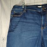 Lane Bryant  Dark Blue Denim Shorts Photo 2